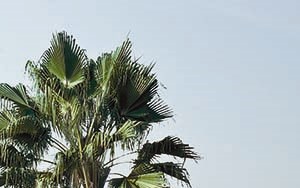 Fort Stewart Family Homes | Family housing at Fort Stewart, GA | Photos